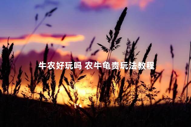 牛农好玩吗 农牛龟责玩法教程